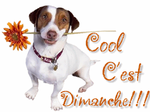 Gif animé Bon dimanche chien